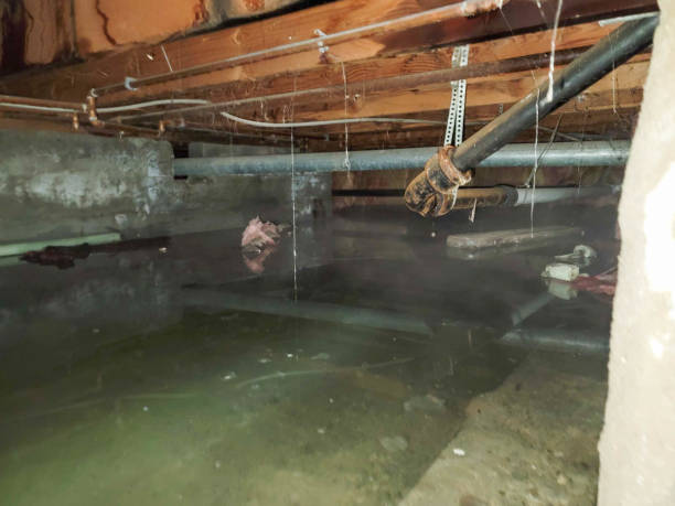 Trusted Fairfax, VA Water damage restoration Experts