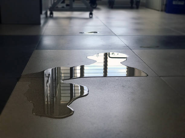 Best 24-hour water damage restoration  in Fairfax, VA