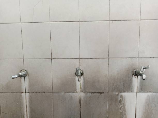 Best 24-hour water damage restoration  in Fairfax, VA